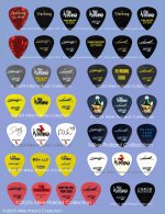 The Warning Guitar Picks 2016 - 2025.jpg