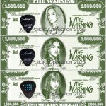 The Warning Guitar Picks Mayday Tour with Money.jpg