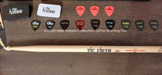 The Warning Guitar Pick Extras.jpg